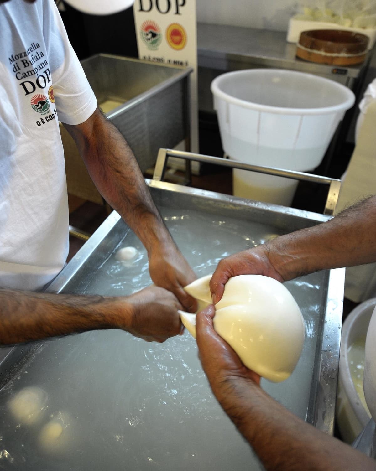 Mozzarella di bufala e food tour in Campania: cosa assaggiare